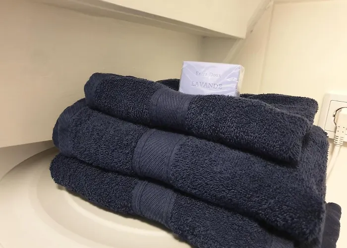 Littlehouseamsterdam 招待所 3*