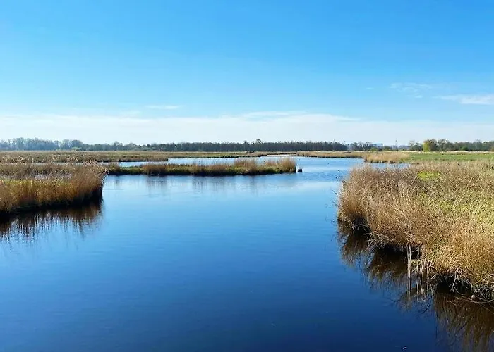 Littlehouseamsterdam Guest house